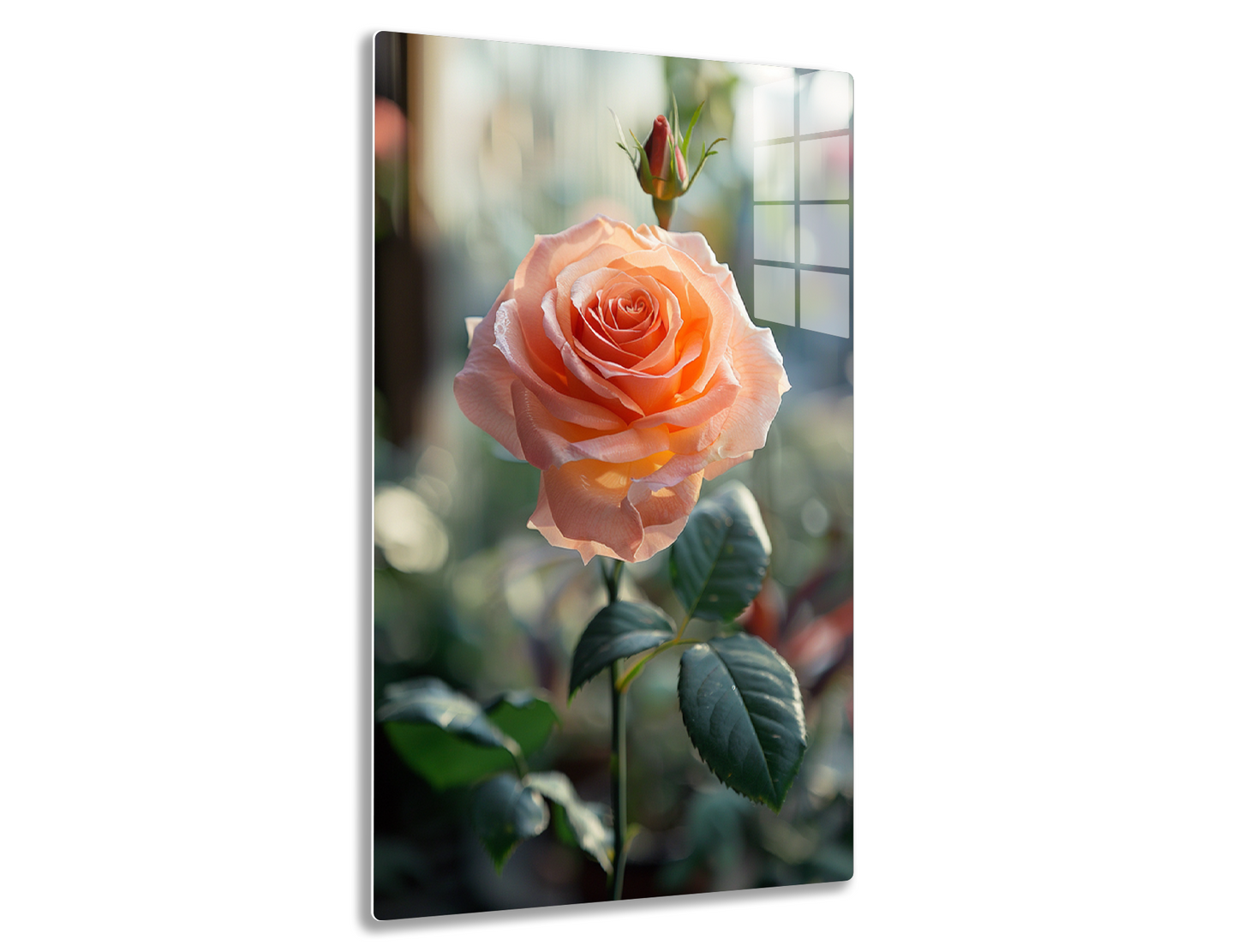 A close-up of a stunning peach-colored rose in full bloom, with delicate petals and a vibrant red center, surrounded by lush green leaves in a softly blurred background.
