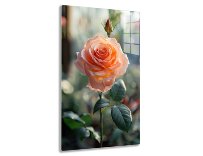 A close-up of a stunning peach-colored rose in full bloom, with delicate petals and a vibrant red center, surrounded by lush green leaves in a softly blurred background.
