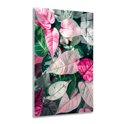 Vibrant pink and white patterned tropical leaves with veined details against a contrasting dark green background, creating an artistic botanical composition.
