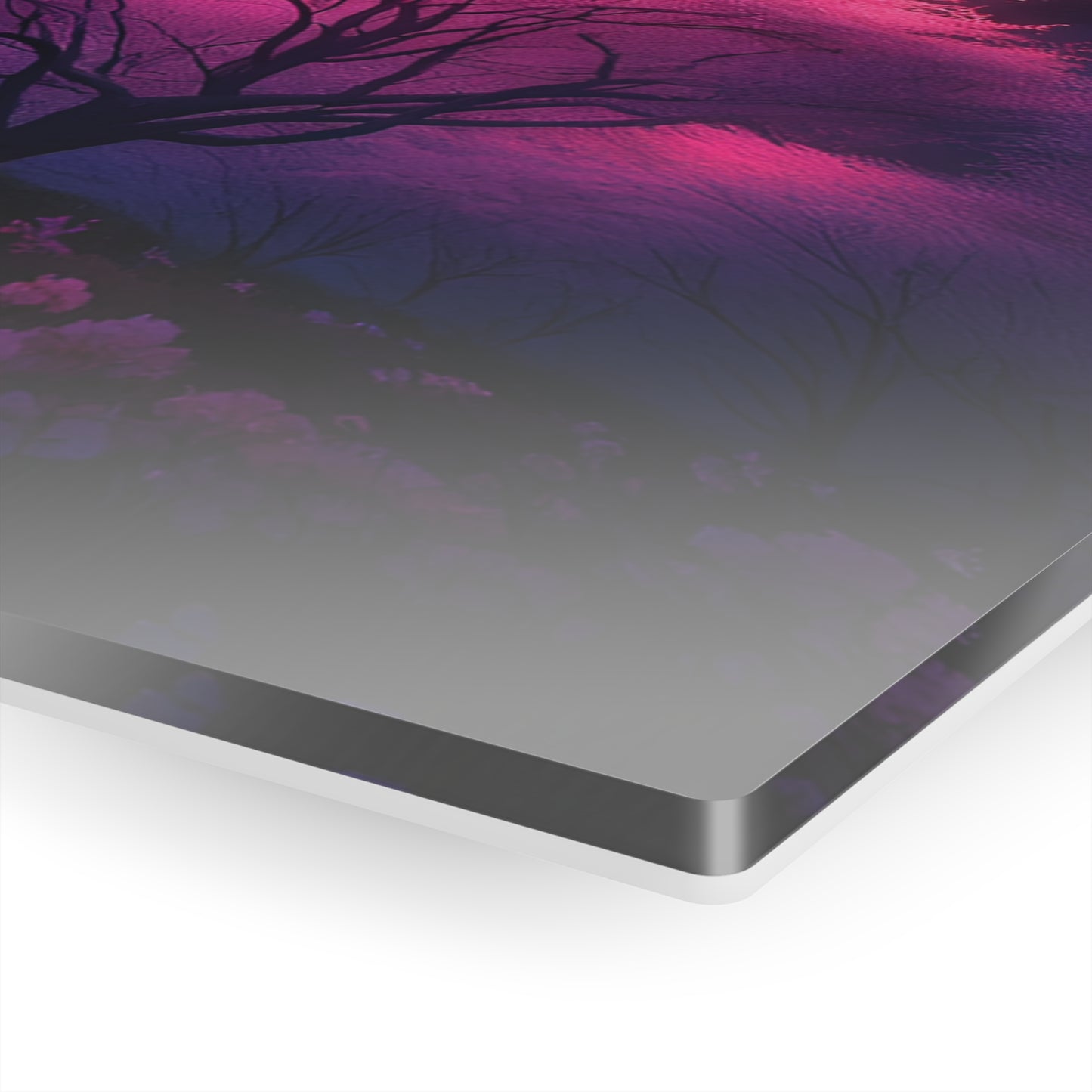 Pink cherry blossoms in full bloom (Acrylic)