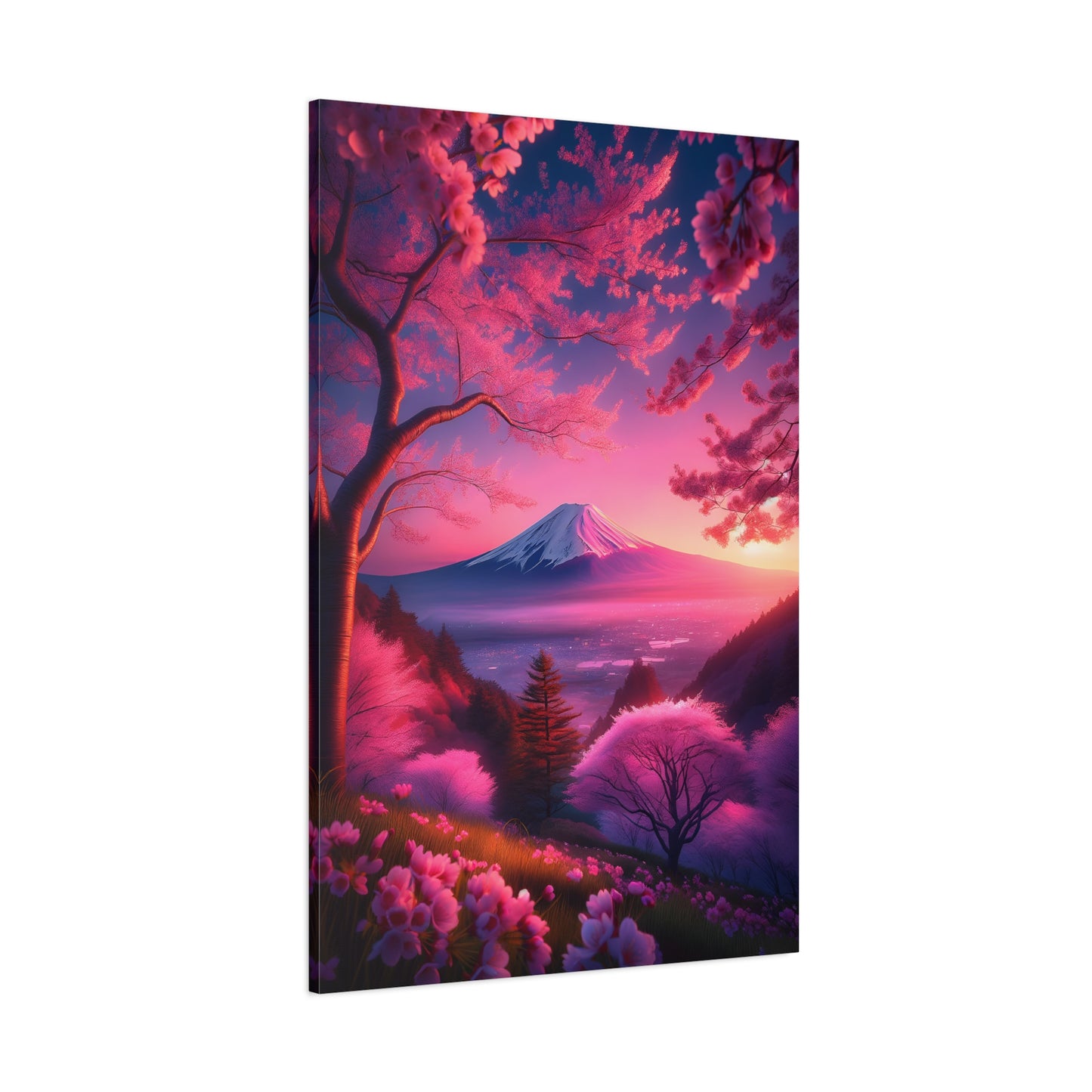 Pink cherry blossoms in full bloom (Canvas)