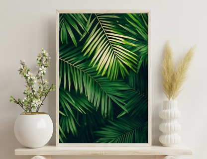 Close-up of vibrant green palm fronds with long, slender leaves in intricate patterns against a dark background, creating a lush, tropical atmosphere.
