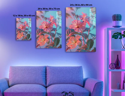 Close-up of vibrant pink hibiscus flowers blooming with red stems and green leaves against a soft blue background.
