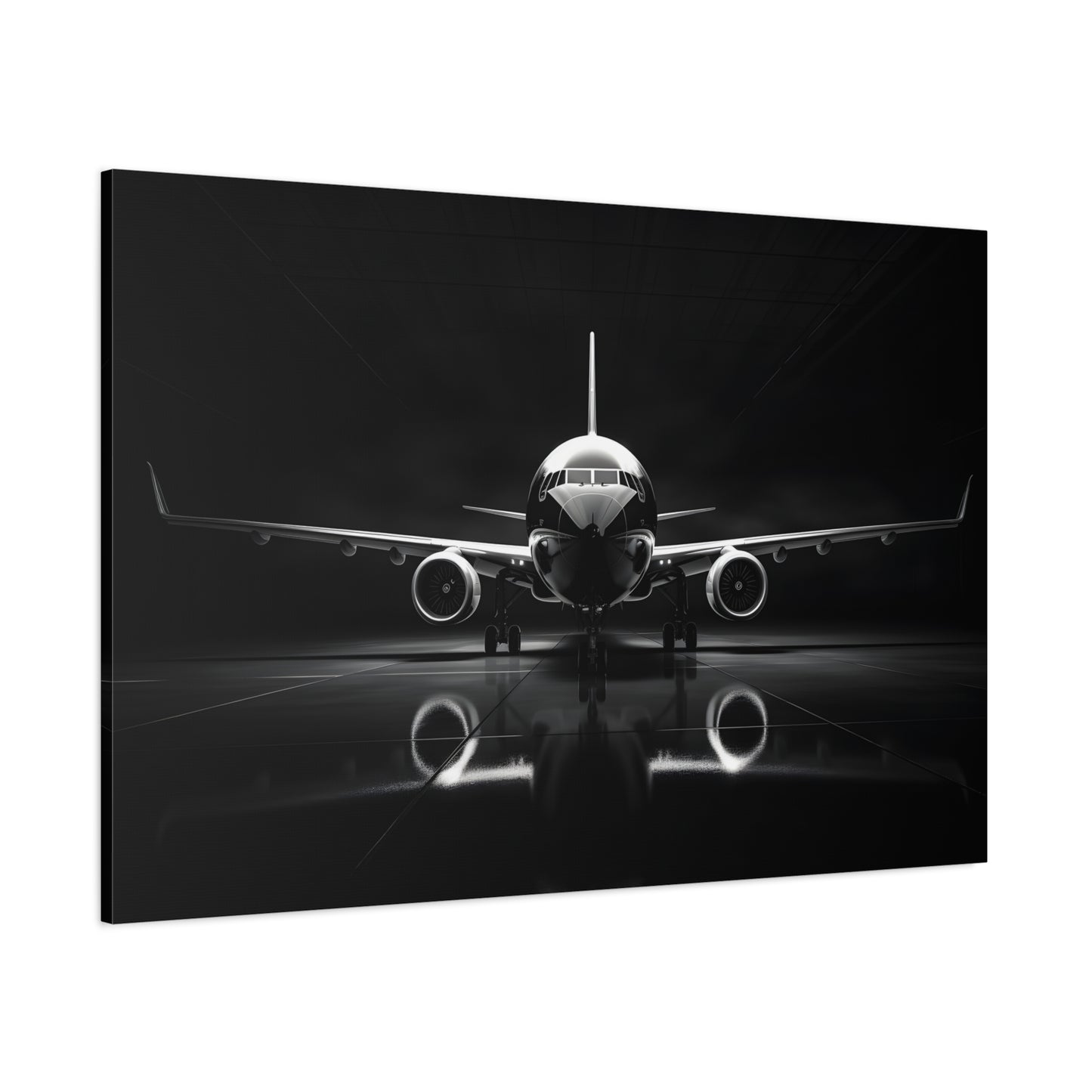 Black and White Airliner (Canvas  Matte finish, stretched, with a depth of 1.25 inches) Elevate your décor with RimaGallery’s responsibly made art canvases. Our eco--White Airliner (Canvas)