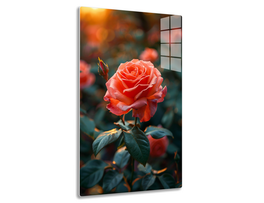 A close-up of a vibrant orange rose in full bloom, with delicate petals and green leaves, against a blurred background of orange and red rose bushes in a warm, sunlit garden setting.
