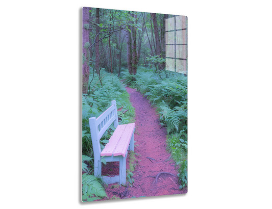 A enchanting forest trail winds through lush green foliage and tall trees, with a white wooden bench inviting visitors to rest and enjoy the serene surroundings.
