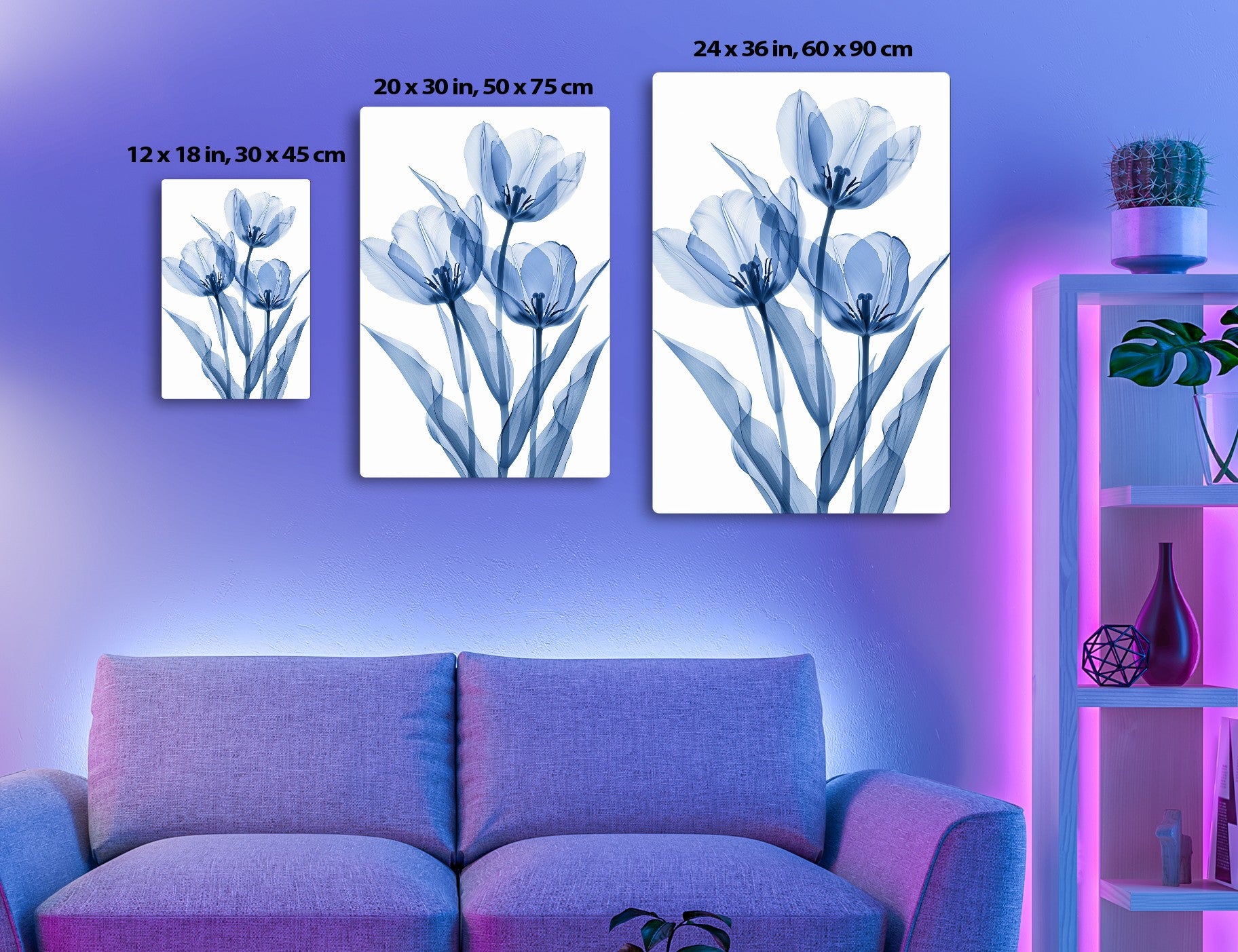 A cluster of delicate blue tulip flowers with intricate white and navy striped petals and dark blue centers, rendered in a stylized x-ray style against a white background.

