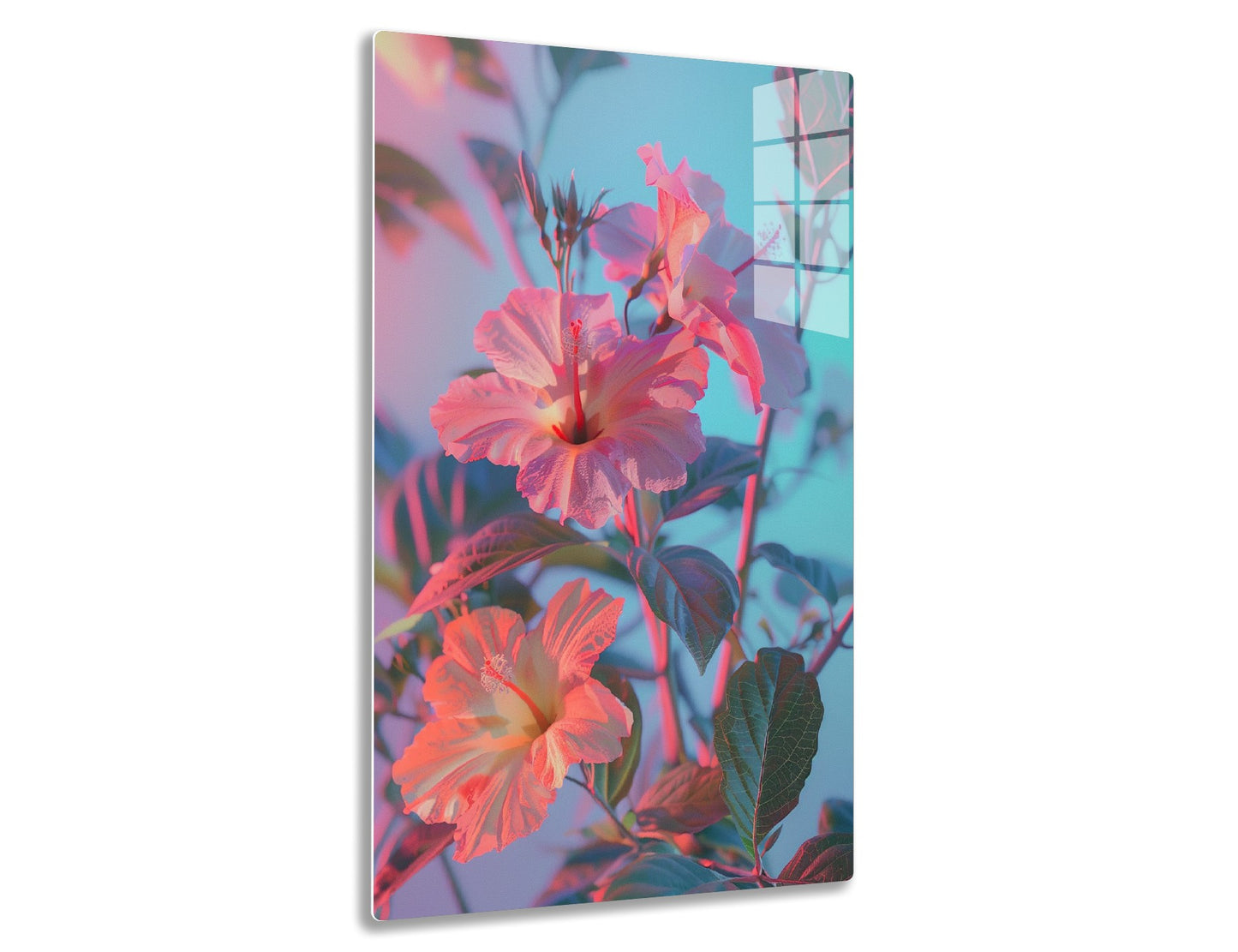 Close-up of vibrant pink hibiscus flowers blooming with red stems and green leaves against a soft blue background.
