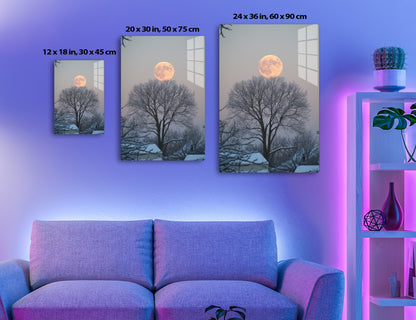 A stunning full moon rises behind bare, silhouetted trees against a twilight sky, creating a serene and picturesque winter scene.
