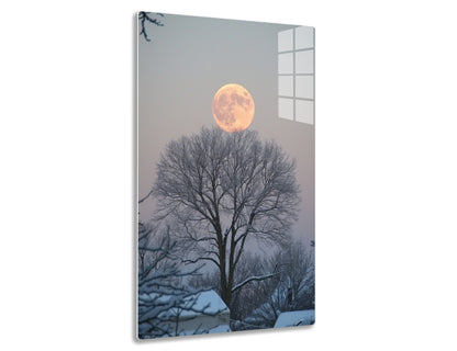 A stunning full moon rises behind bare, silhouetted trees against a twilight sky, creating a serene and picturesque winter scene.
