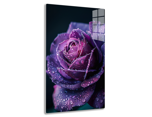 A close-up photo of a deep purple rose bud with water droplets glistening on its delicately folded petals, against a dark background.
